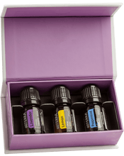 Last inn bildet i Galleri-visningsprogrammet, Introduksjons KIT